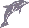gehner-delfin
